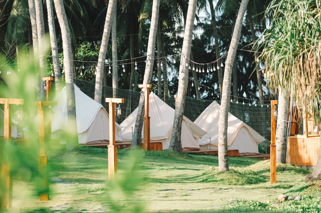 Tentes de glamping alignées sous les arbres