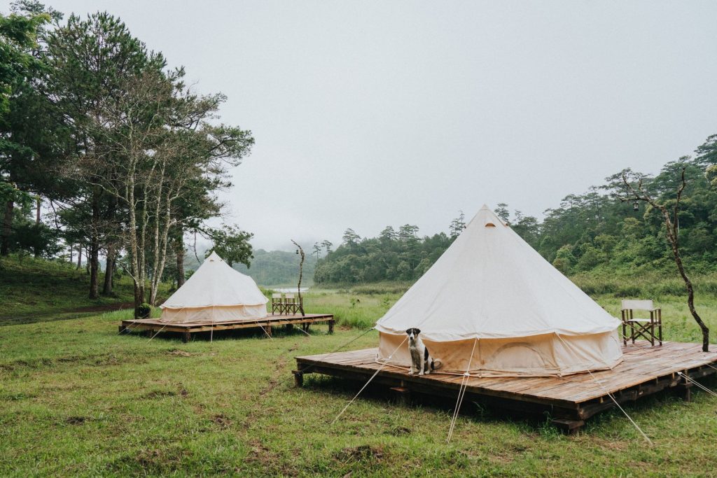 Tentes cloche sur plateforme en bois