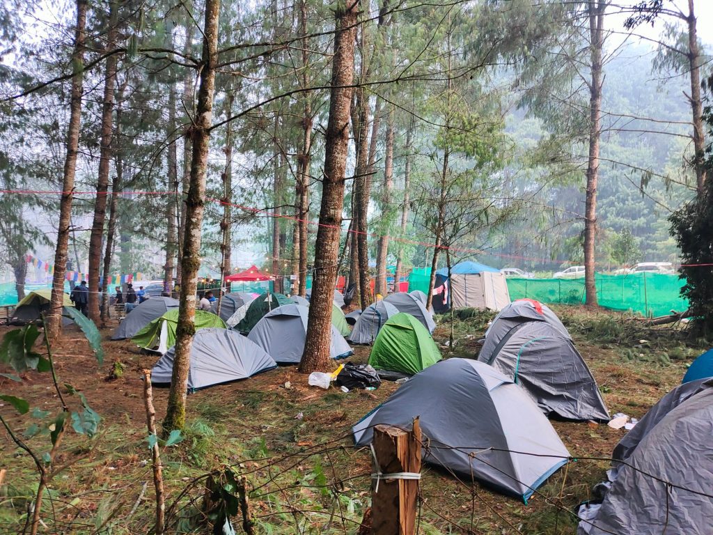 Tentes plantées dans un bois