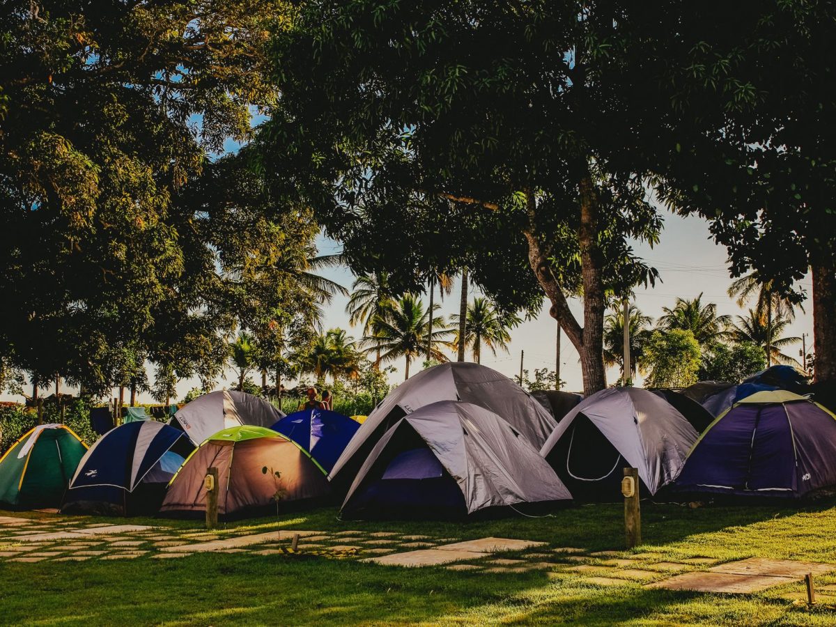 Camping de festival sous les arbres
