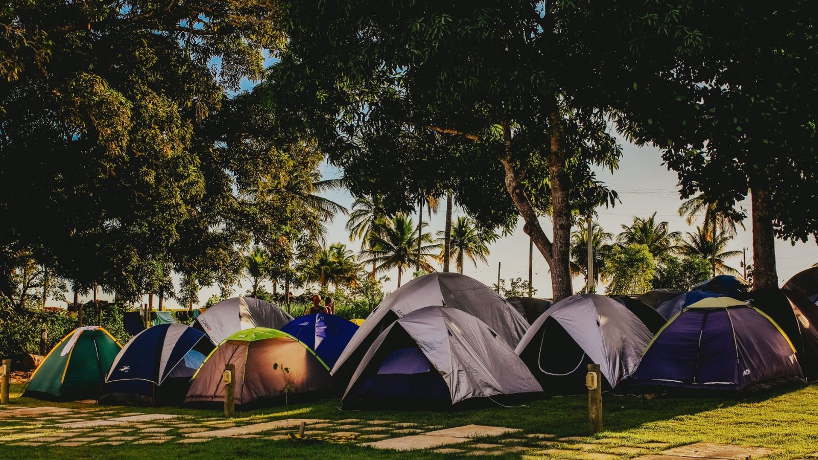 Camping de festival sous les arbres