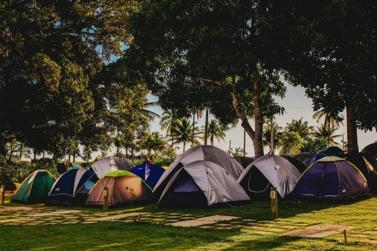 Camping de festival sous les arbres