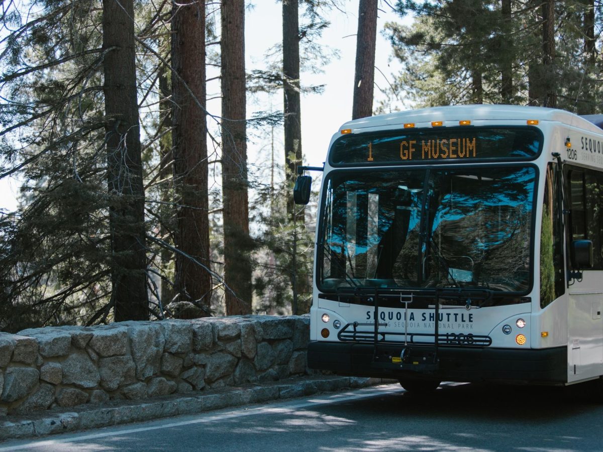 Navette en route dans la forêt