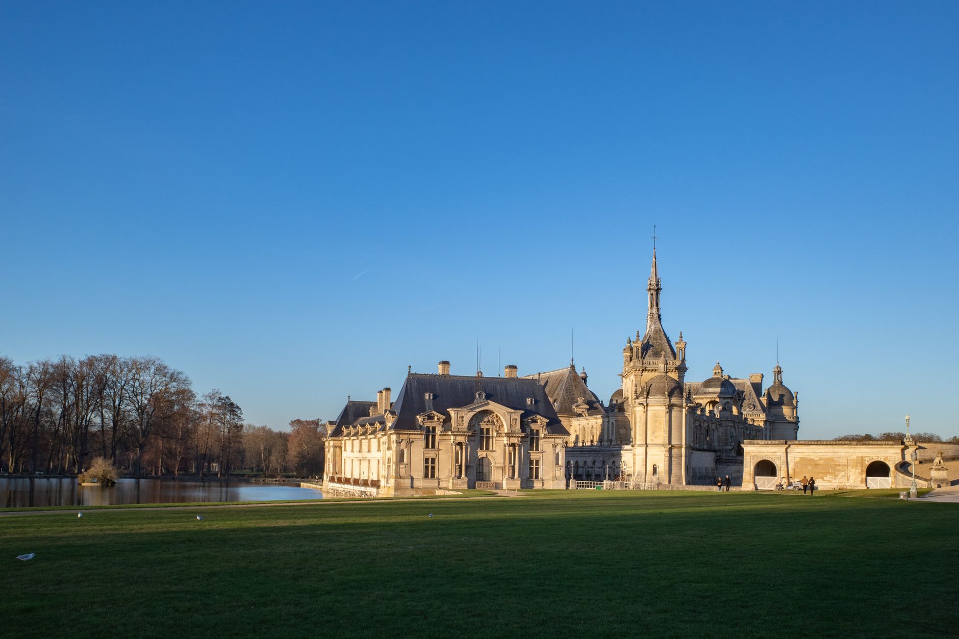 Camping et festivals en France : vivez l'expérience immersive !