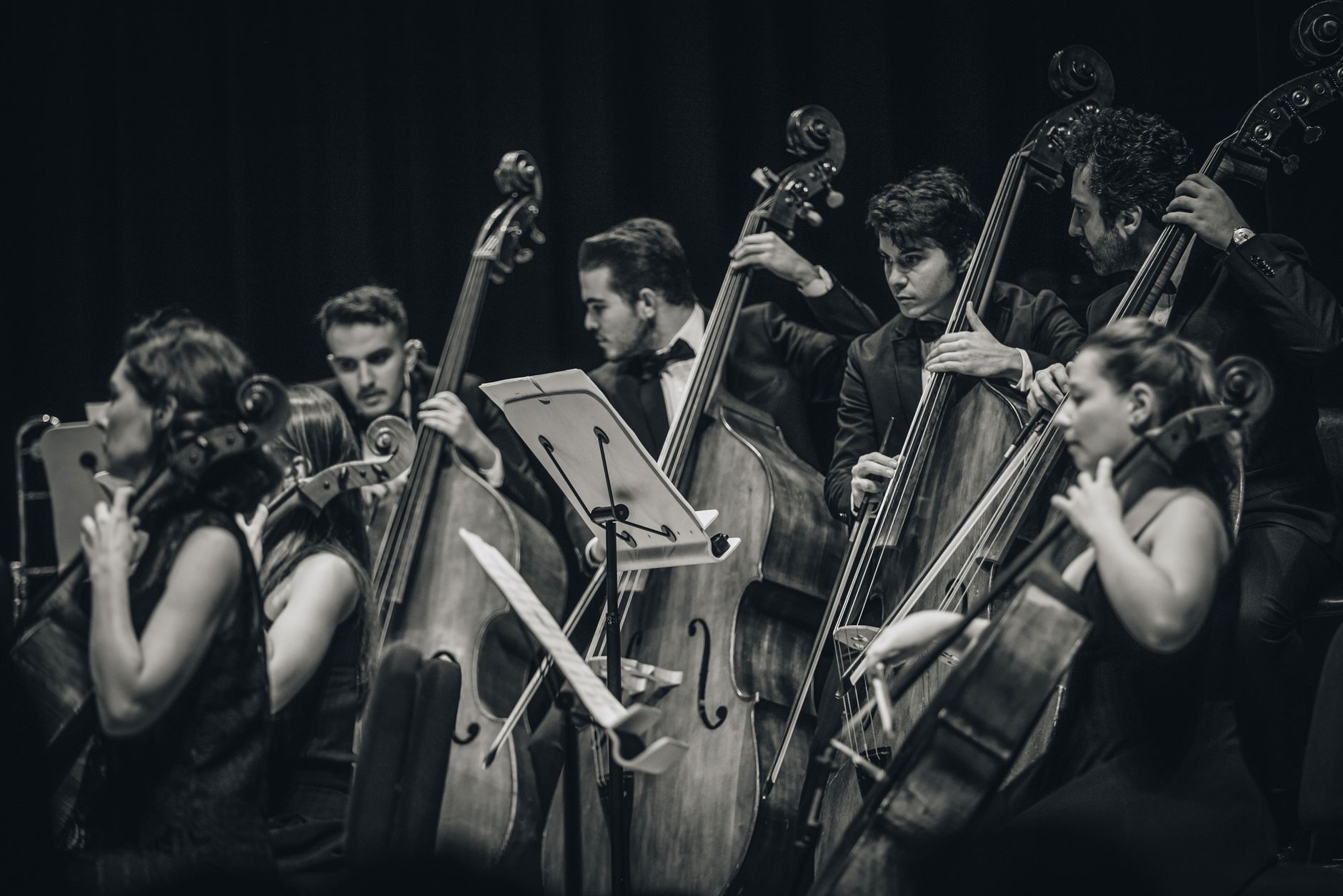 Nouveautés musicales à découvrir à Marseille