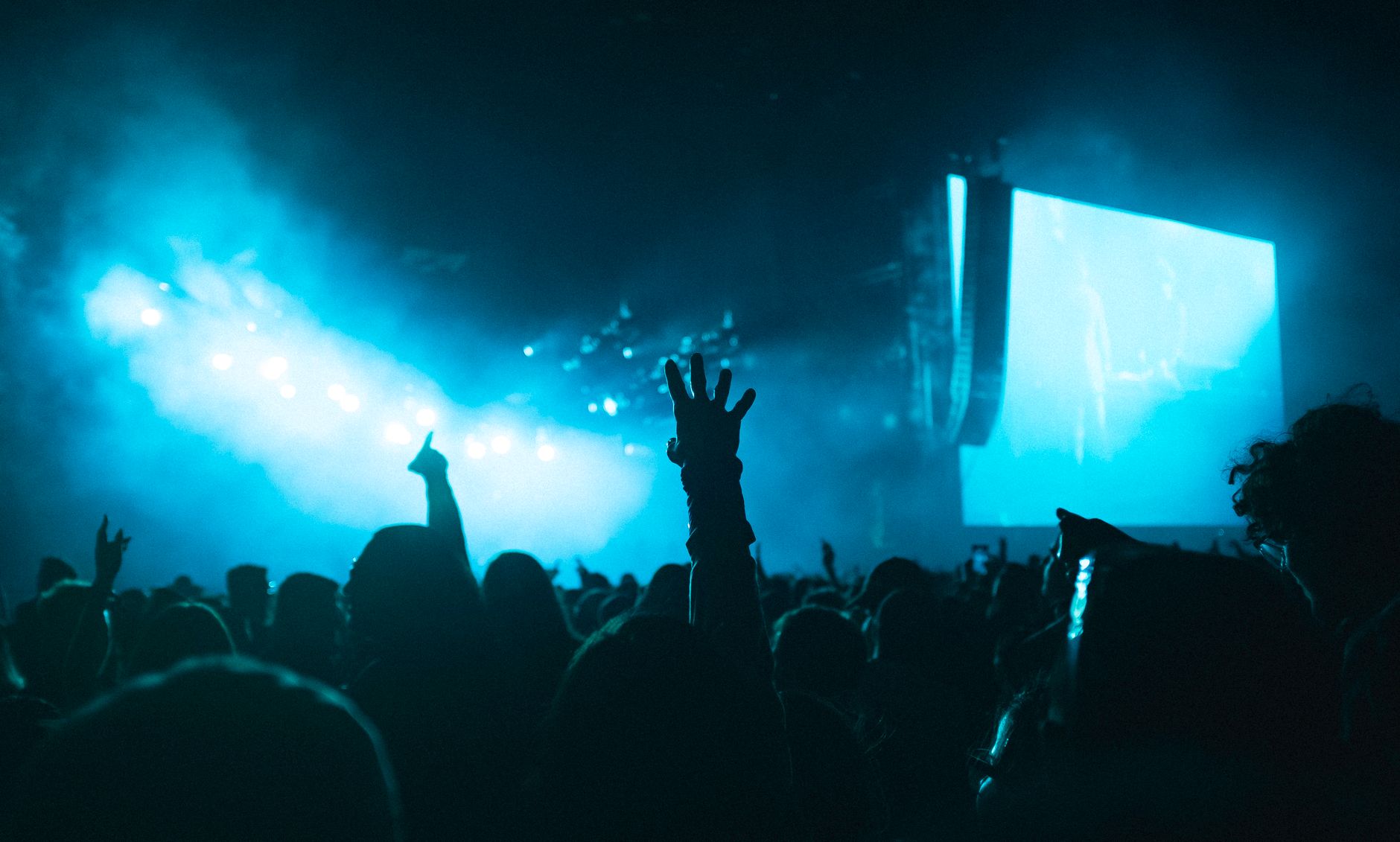 Bras levés devant le grand écran du concert