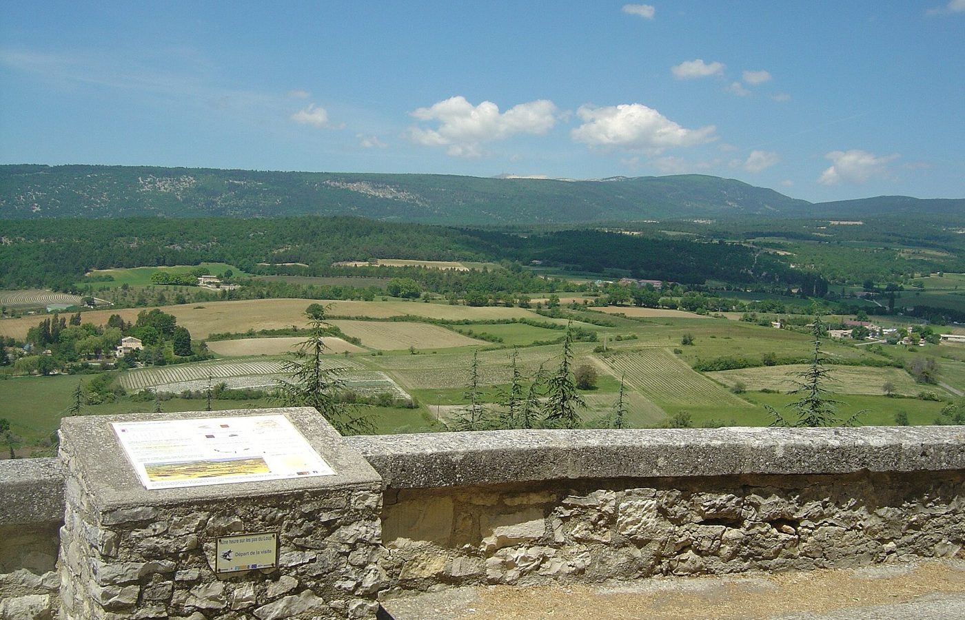 Champs de lavande de Sault et mont Ventoux