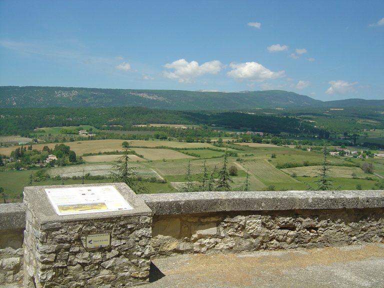 Champs de lavande de Sault et mont Ventoux