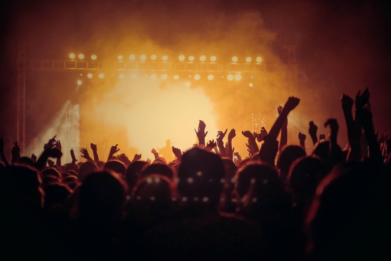Meilleurs bouchons anti-bruit pour concerts metal