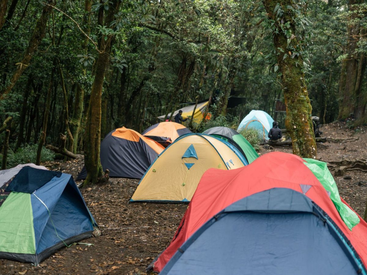 Dormir près d'un festival sans payer le prix du centre-ville
