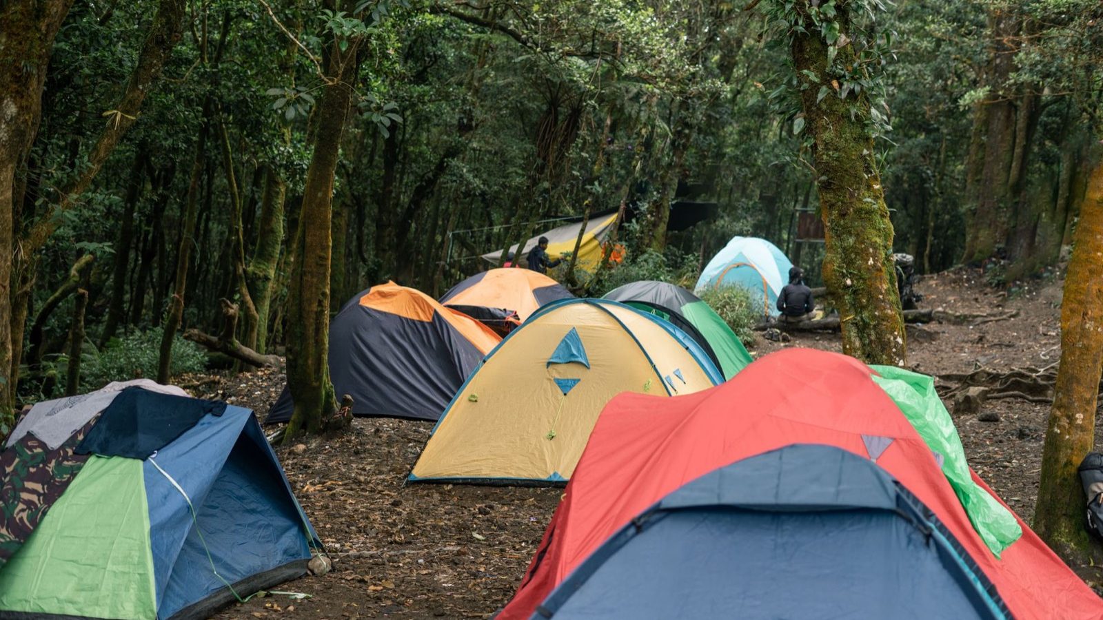 Dormir près d'un festival sans payer le prix du centre-ville