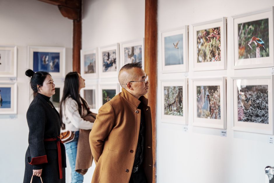 Illustration : festival arts visuels & numériques — Art contemporain en milieu rural