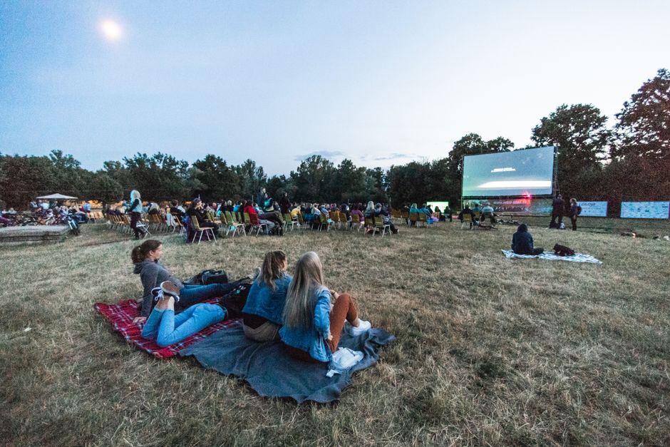 Illustration : festival cinéma & audiovisuel — Festival au clair de lune