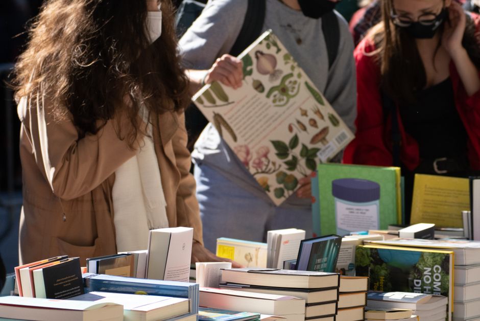 Illustration : festival livre & littérature — Abracadabulles